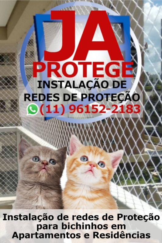 Onde Achar Proteção de Tela para Gatos Ibirapuera - Tela para Proteção de Gatos