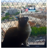 instalação de rede de proteção para gatos janela Vila Anastácio